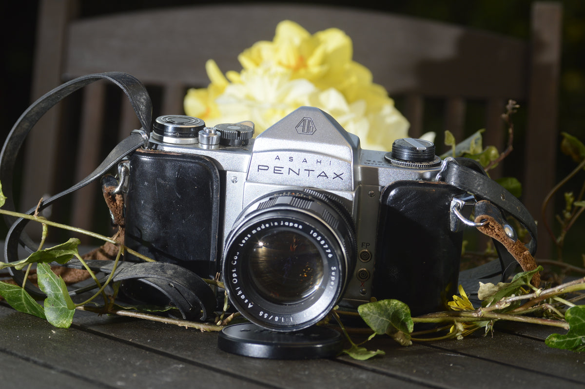 Its Spring ! – Rewind Cameras