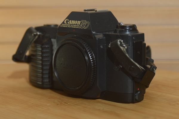 Fantastic Canon T50 35mm Camera with Strap. In superb condition. - Rewind Cameras 