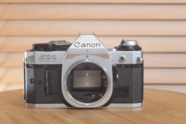 Canon AE1 P 35mm SLR camera body by Rewind Cameras, shown with textured grip and control dials on the vintage camera.