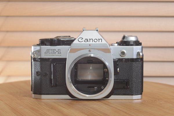 Canon AE1 P 35mm SLR camera body by Rewind Cameras, showing the vintage camera with metal body and control dials.