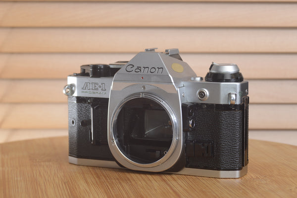 Canon AE1 P 35mm SLR camera body by Rewind Cameras, shown with its classic design and control dials.