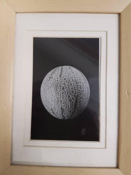 Beautiful still life Black and white photograph of cantaloupe Melon.  Photographed using a vintage Canon AE1 and 50mm 1.4 mm Hand processed - RewindCameras quality vintage cameras, fully test