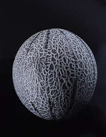 Beautiful still life Black and white photograph of cantaloupe Melon.  Photographed using a vintage Canon AE1 and 50mm 1.4 mm Hand processed - RewindCameras quality vintage cameras, fully test